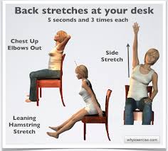 lower back pain remedy